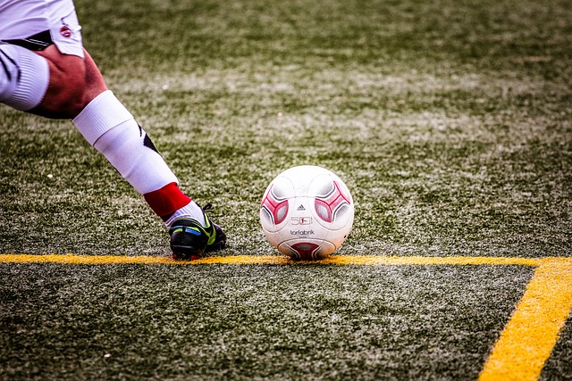 类似之处的 类似之处的