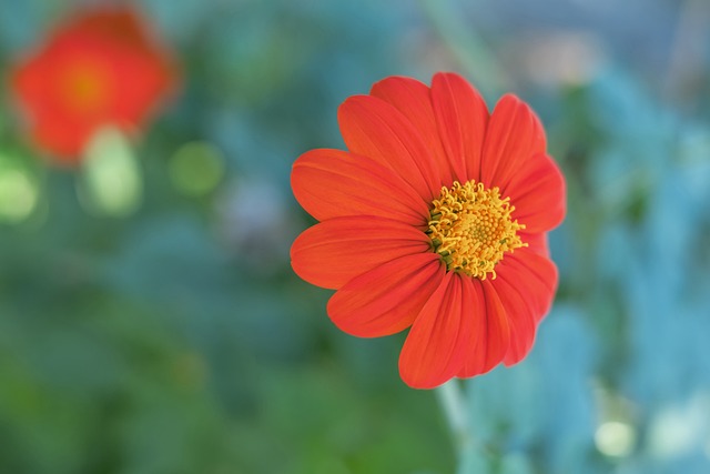 他们不仅在 他们不仅在