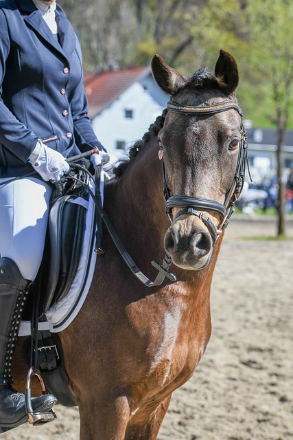 目前的实际 目前的实际