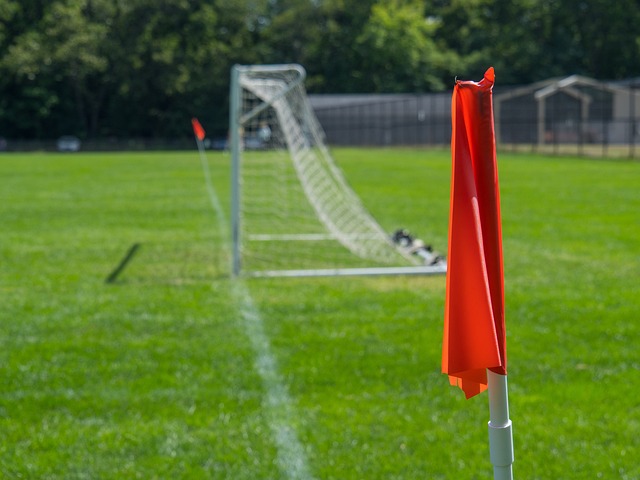 早期面臨低 早期面臨低