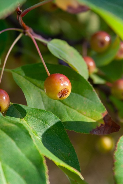 团队之力击 团队之力击