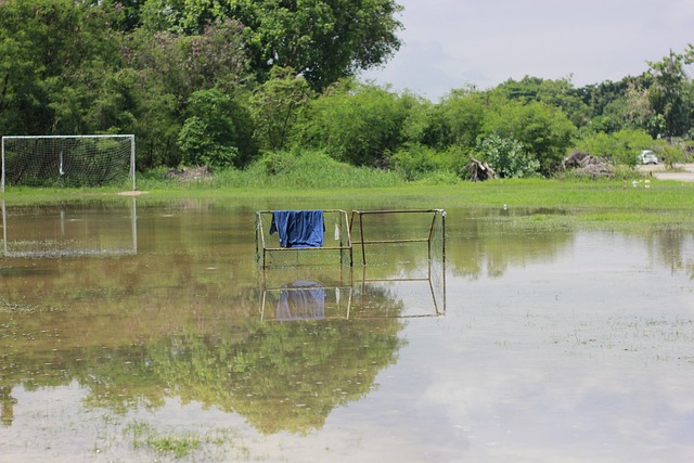 也将被载入 也将被载入