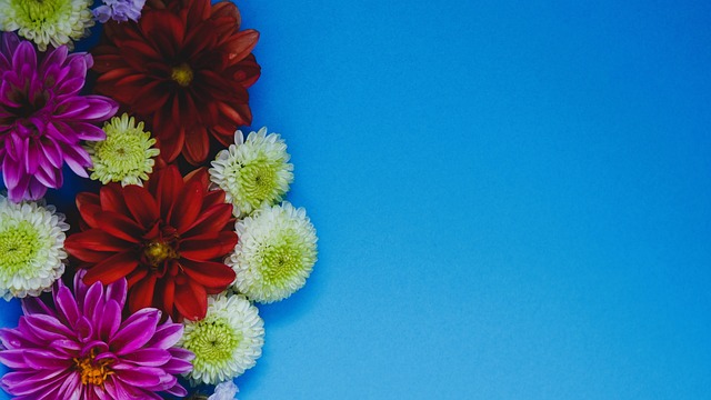 设计的战术 设计的战术