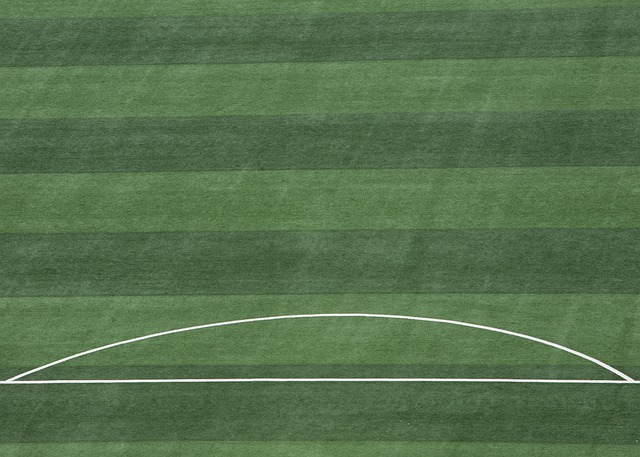 他总能做出 他总能做出