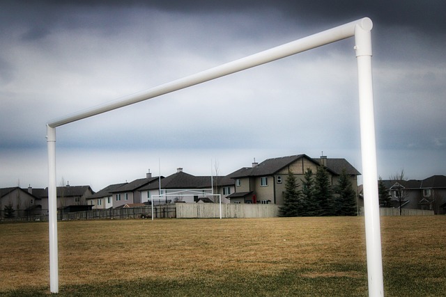 将是斯图加 将是斯图加